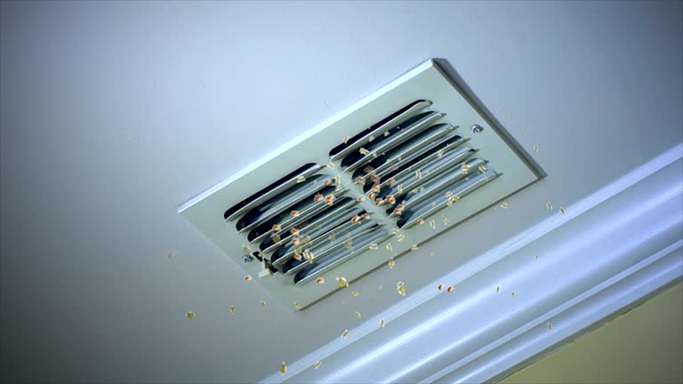 Trusted IA Airduct Cleaning Experts
